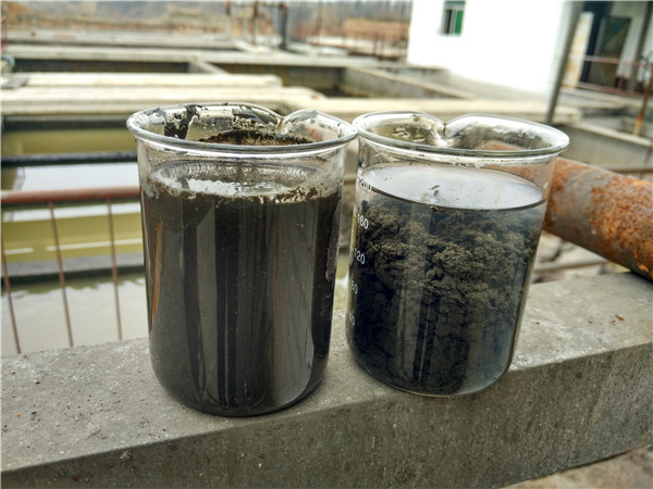 水厂污泥脱水絮凝剂的选择